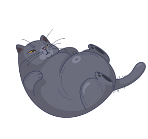 Fat Cat Booking Logo